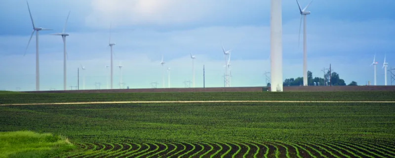 Minnesota farmlands