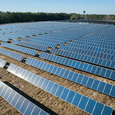 a solar farm