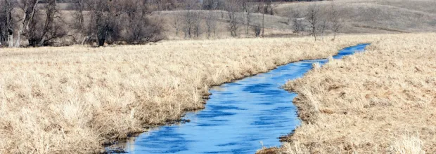 Spring Thaw in a  Minnesota River Surrounded by Dry Grass